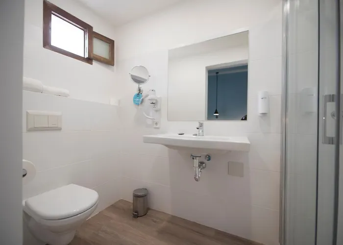 Apuntadores 8 Palma