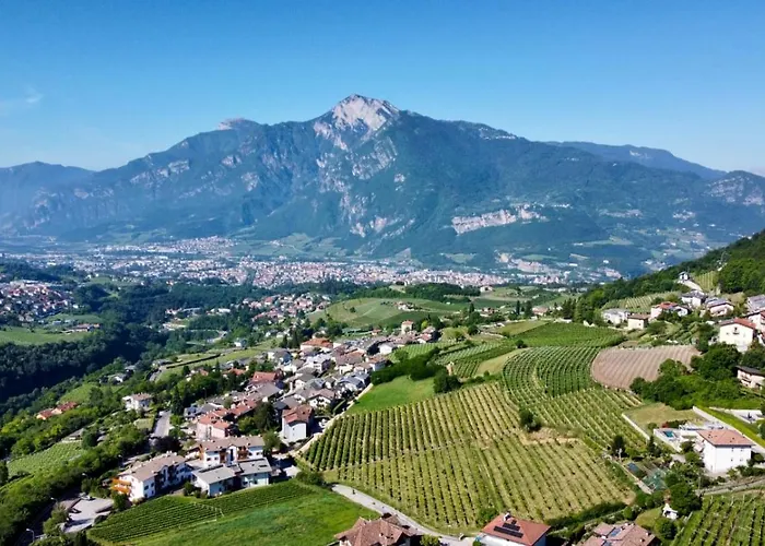 B&B La Casa In Collina