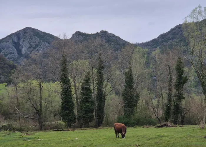 Sunny Valley Retreat Near Skadar Lake