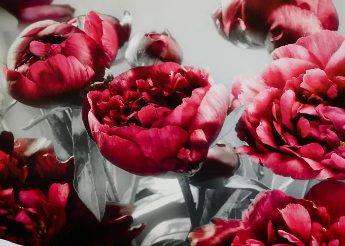 PIVOINE Chambre d hotes