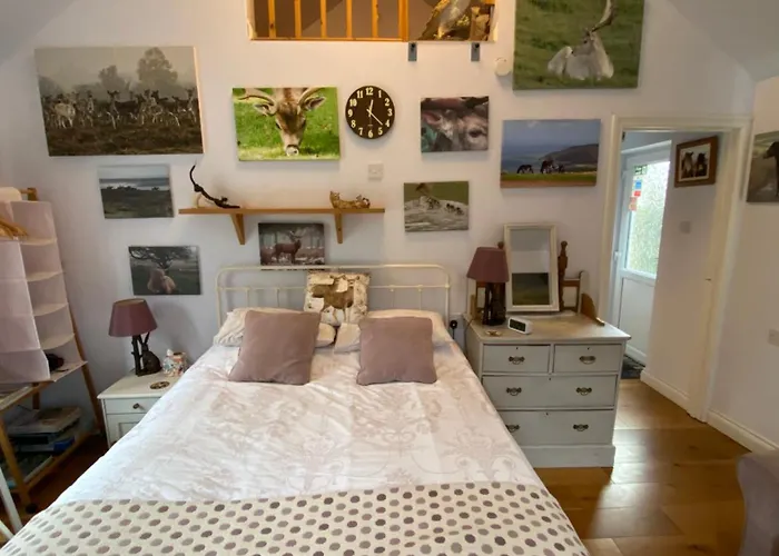 Exmoor Retreat On Two Moors Way