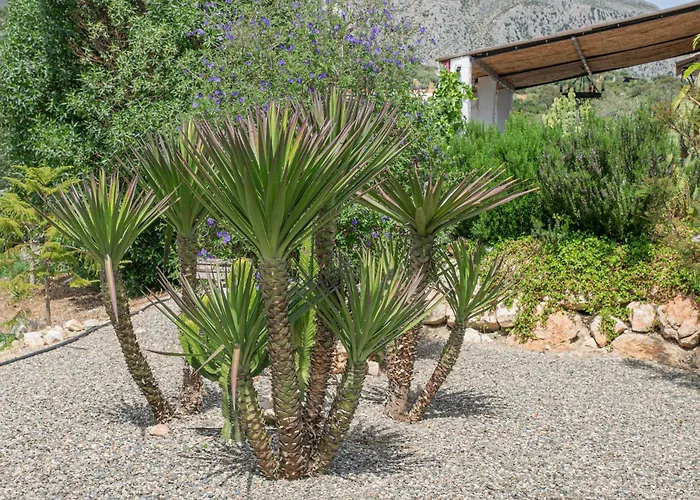 Finca Valle Verde