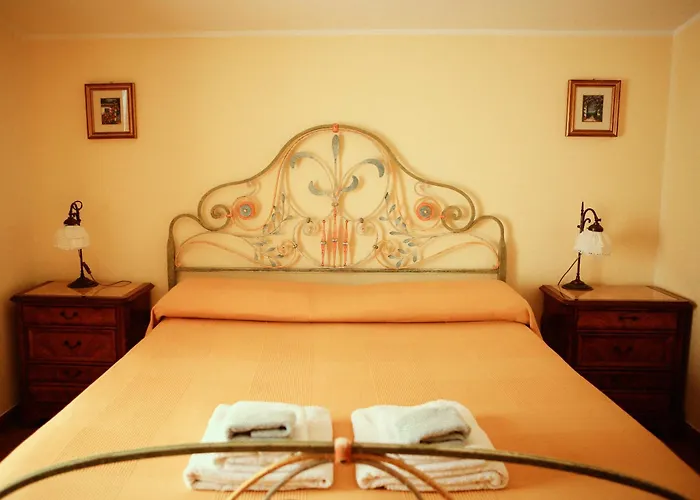 B&B Spigolatrice