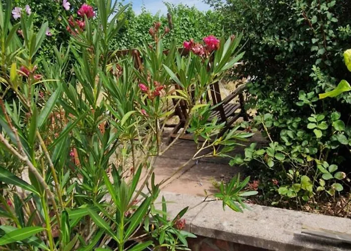 Chambre d'Hotes Le Vogelgarten