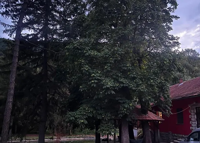 Musical Pansion Radgost, Rtanj