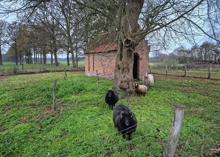 B&B Zon in mij
