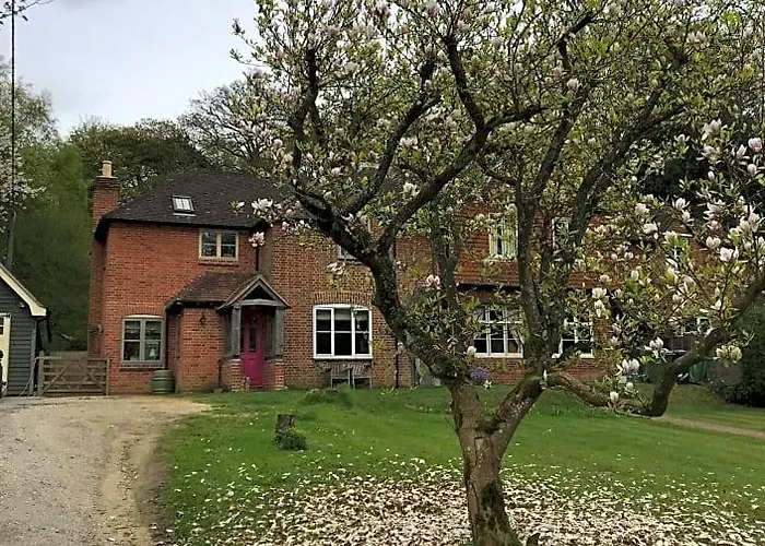 Mays Cottage Bed And Breakfast