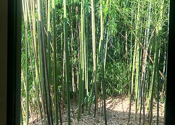 Un petit nid dans la verdure