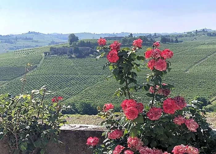 Tenuta Le More