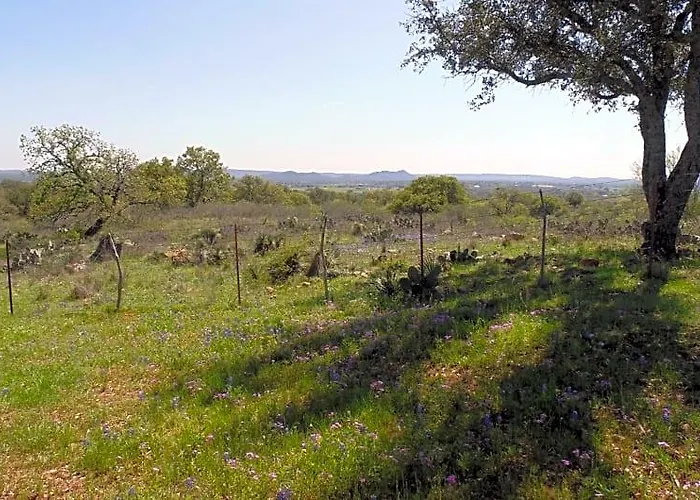 Texas T Bed And Breakfast
