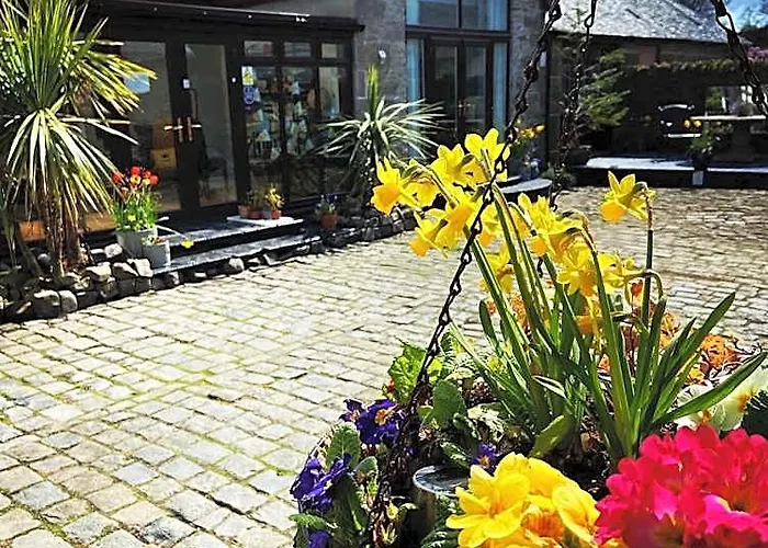 Sheildaig Farm