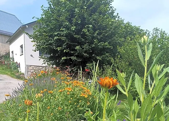 Le Domaine De Moise