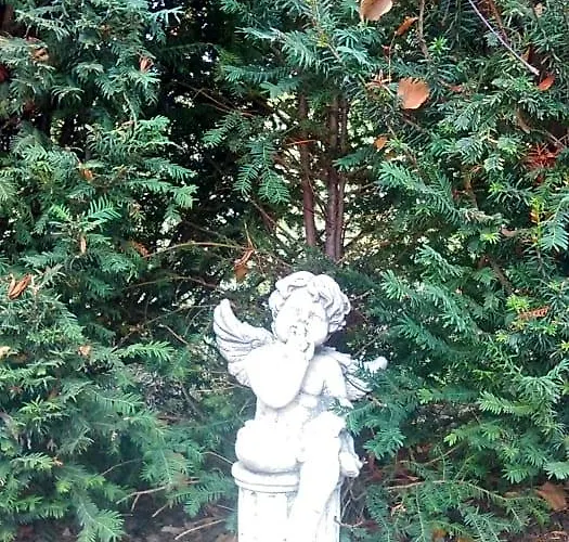 La Carline