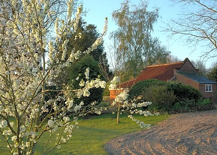 Field Cottage Bed And Breakfast