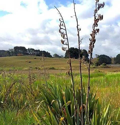Entabeni