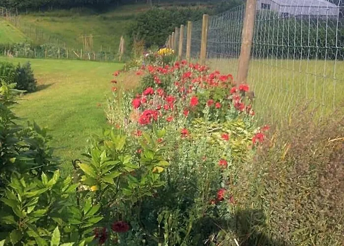 East Dunster Deer Farm B&B