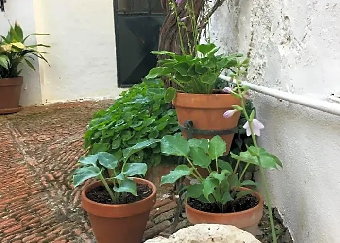Casa San Roque