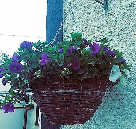 Castle Lodge B&B Kilkenny