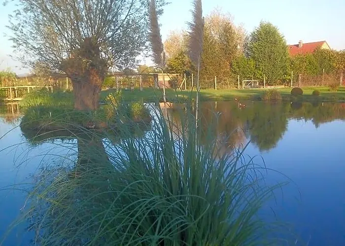 chambre coin nature