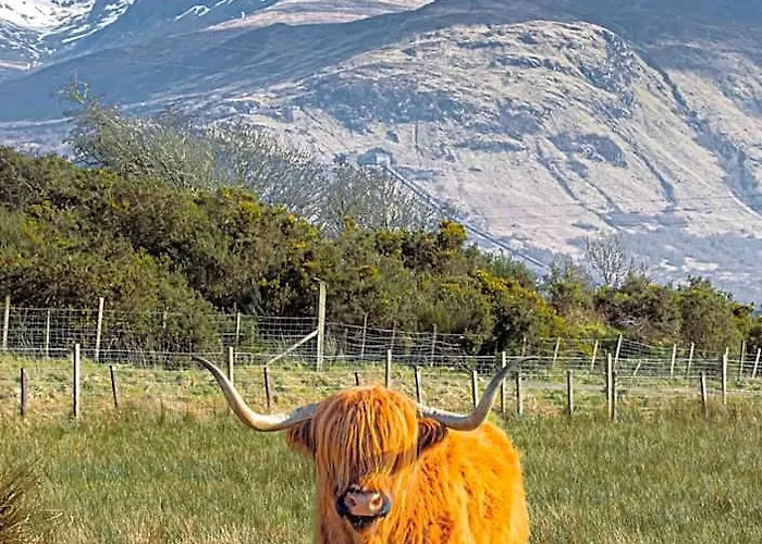 Ben Nevis Manor