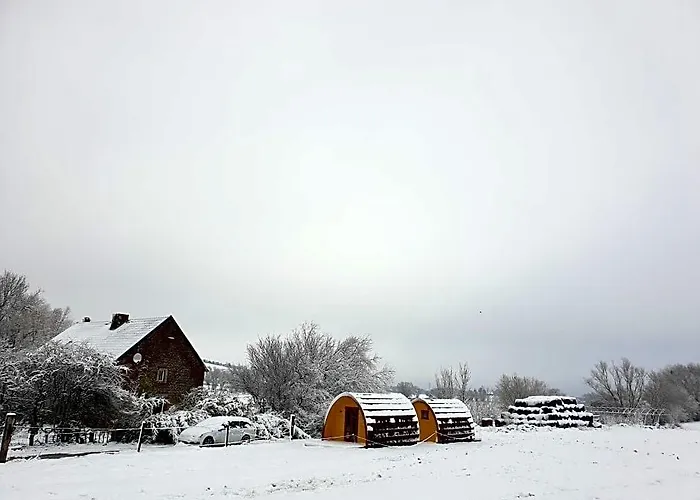 B&B La Ferme Du Chateau De Broich