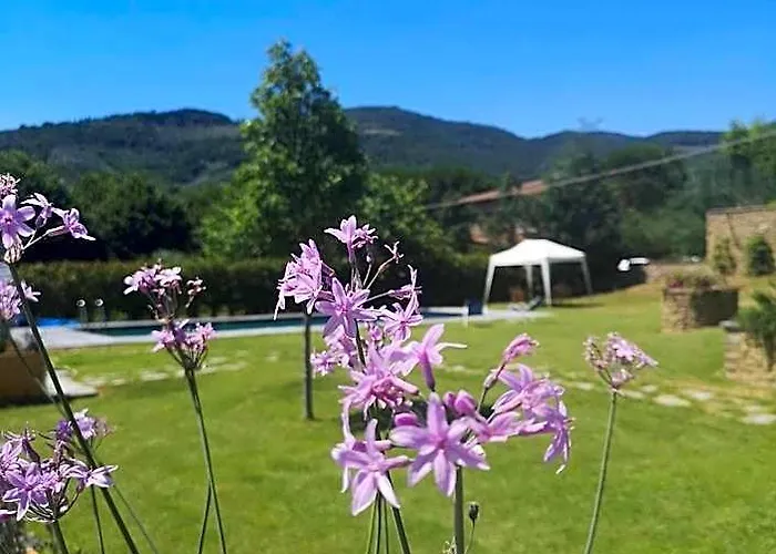 Alba Morus Bed & Breakfast, Sentiti A Casa Nel Cuore Della Toscana