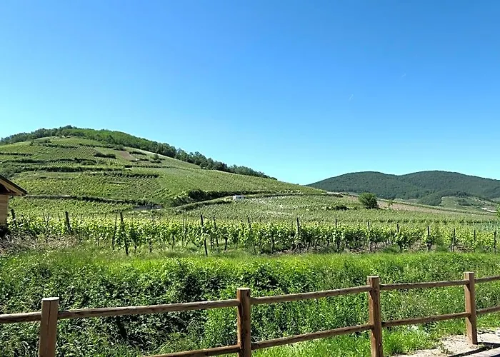 Au Petit Paradis