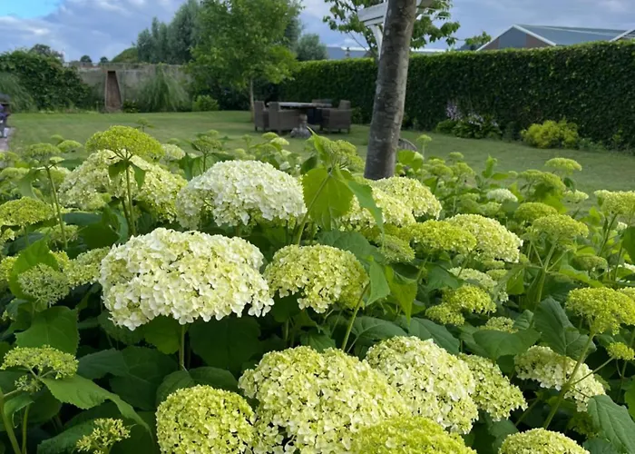 B&B De Cootjes