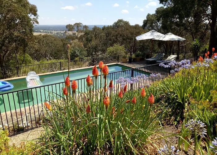 Macedon Ranges Glamping With Kangaroos - Studio