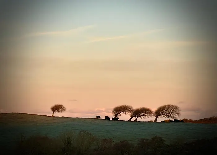 Elmsleigh