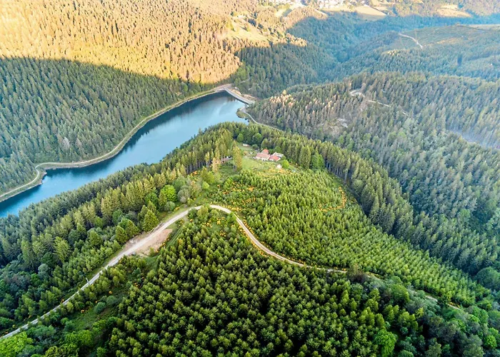 Furanelle Au Pilat