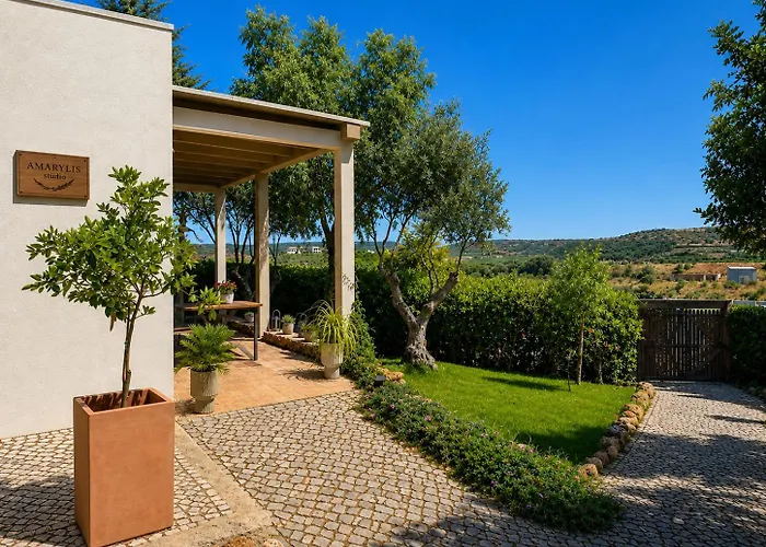 Gato Preto De Silves - Adults Only