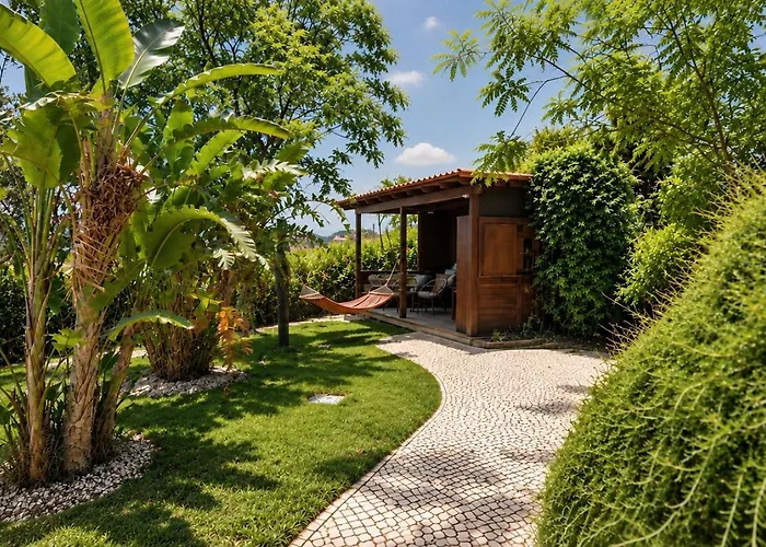 Gato Preto De Silves - Adults Only