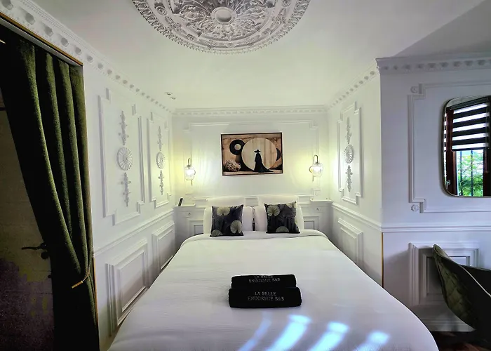 La Belle Endormie B&B French Guest House Bordeaux