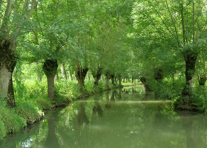 La Gauviniere