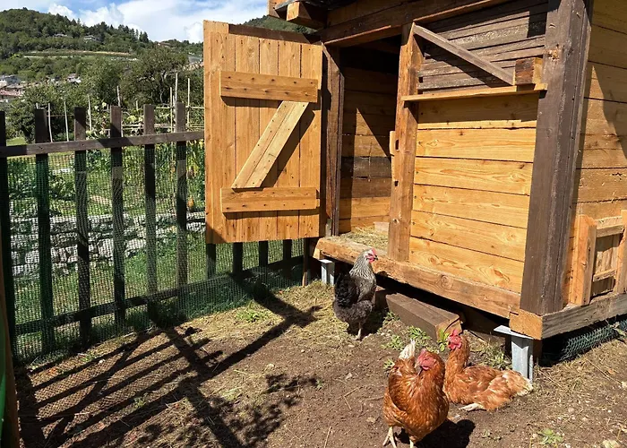 B&B La Casa In Collina