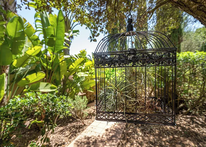 Agroturismo Finca Son Jorbo - Adults Only