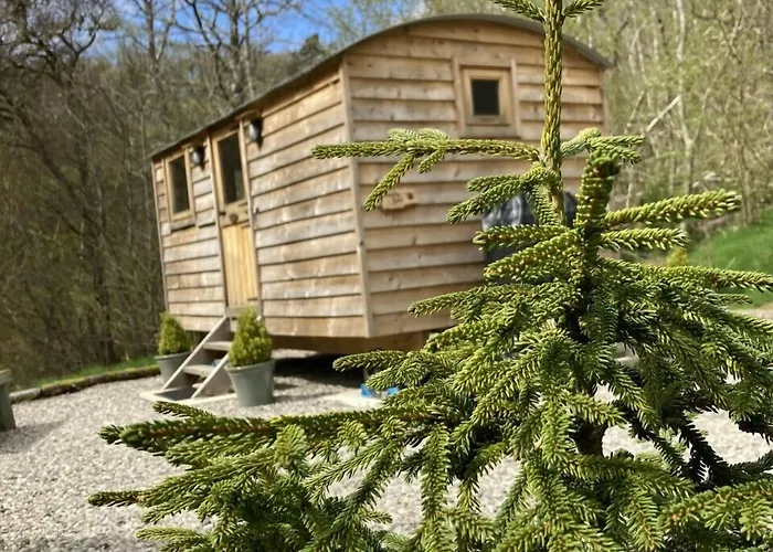 Highland Bear Lodge & Woodland Bear Huts