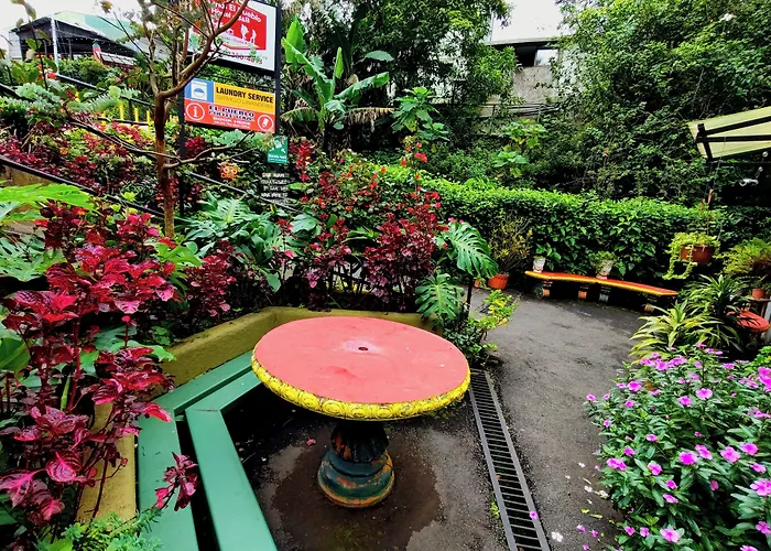 Cabinas El Pueblo B&B Monteverde