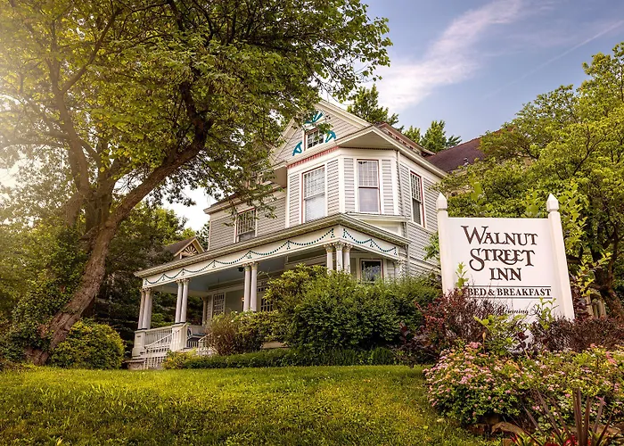 Walnut Street Inn Springfield