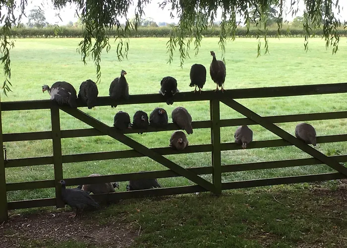 Brickfields Farm