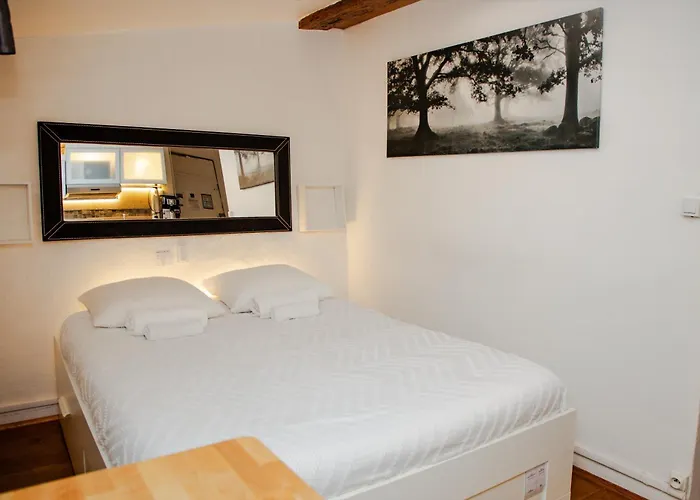 Loge Du Vieux Lyon Chambre D'Hotes