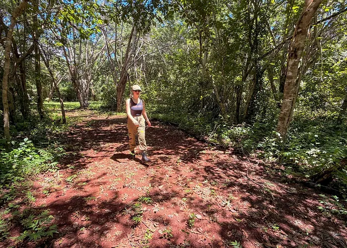 Eco-Hotel El Encanto - Chichen Itza
