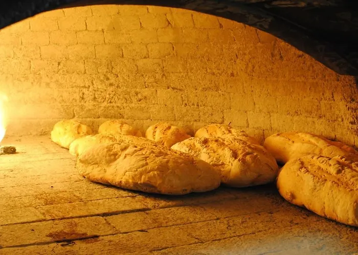 La Vecchia Quercia