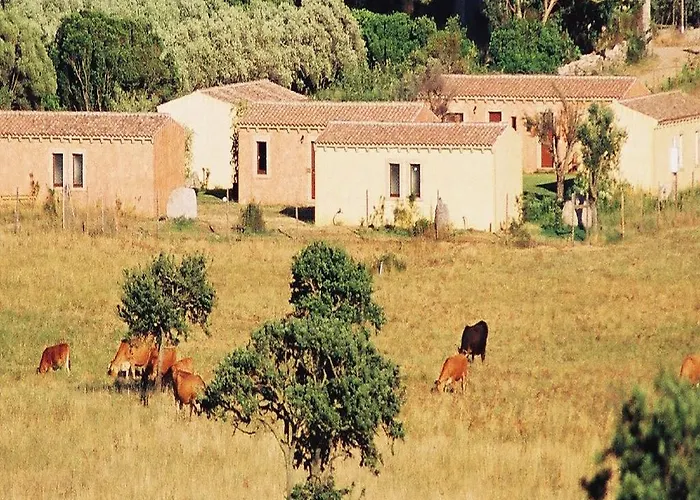 B&B Pubulos