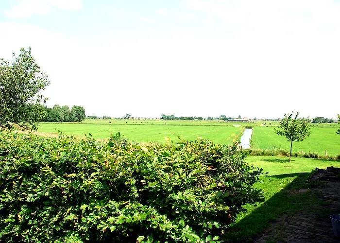 Bed In Waterland