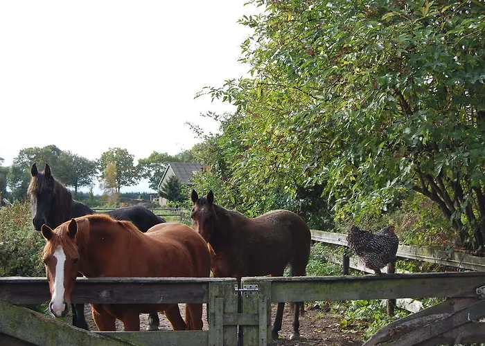 B&B Onze Deel