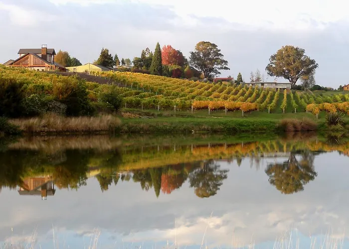 Pine Hill Lodge In Vineyard