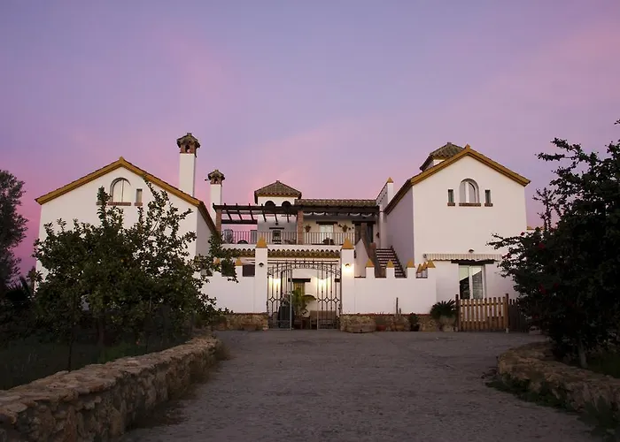 El Fogon Del Duende