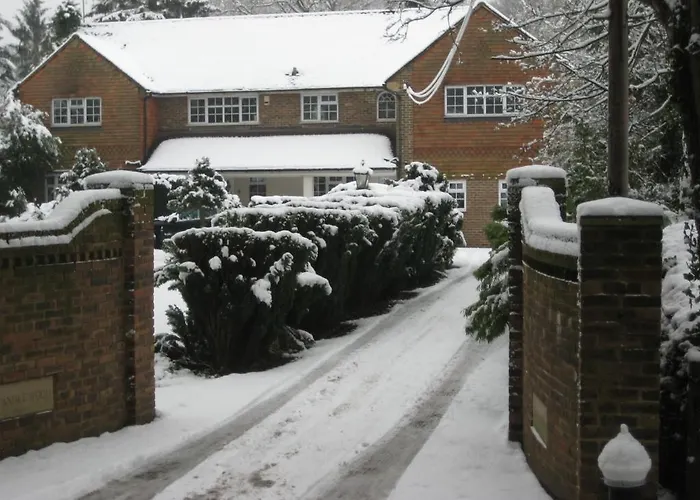 Tanglewood Gatwick Bed & Breakfast